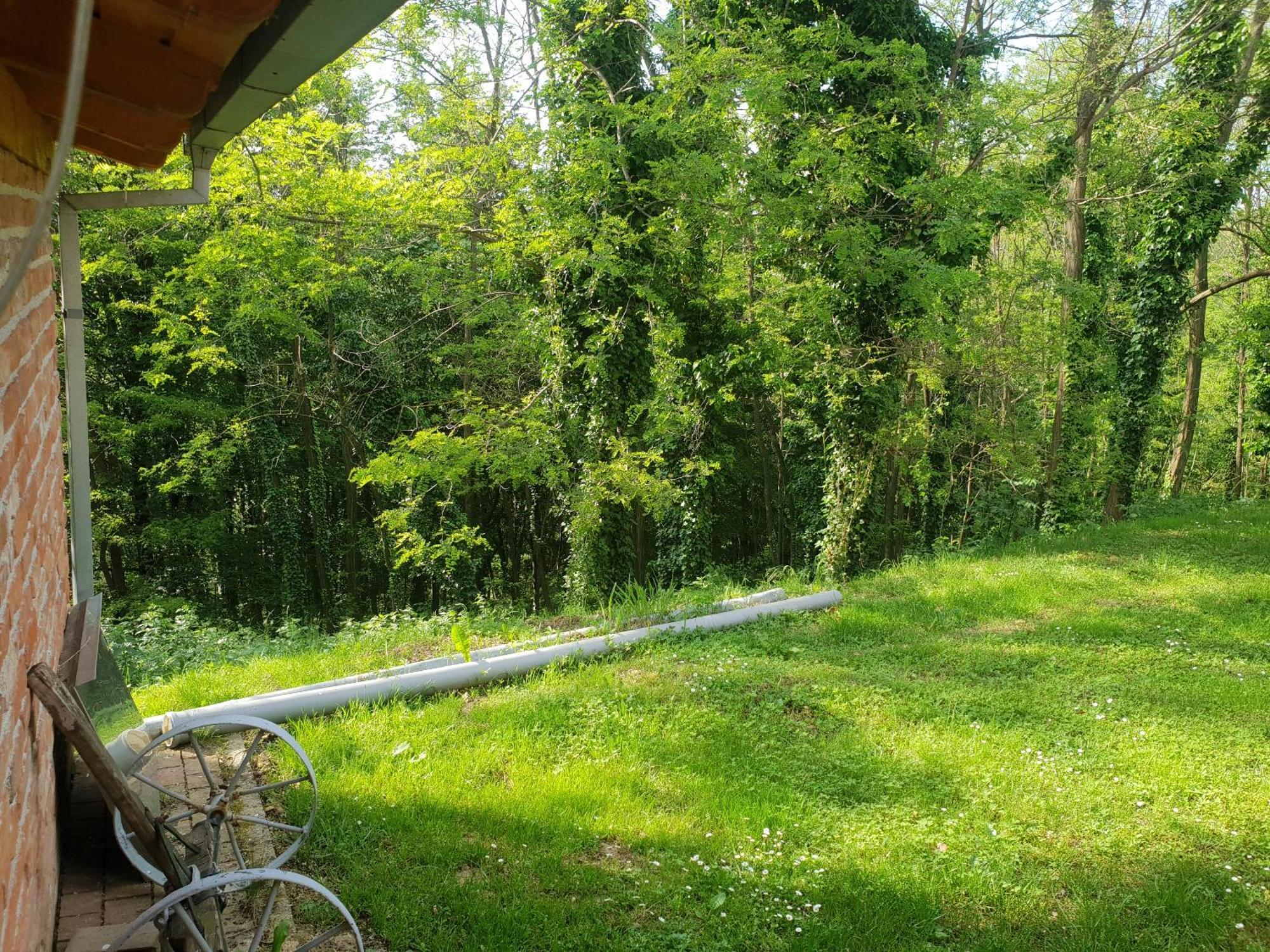Ruralna Kuca Za Odmor Golub Villa Skaricevo Bagian luar foto